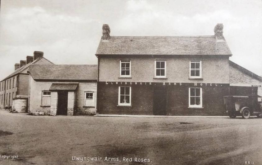 Red Roses - Llwyngwair Arms Hotel
